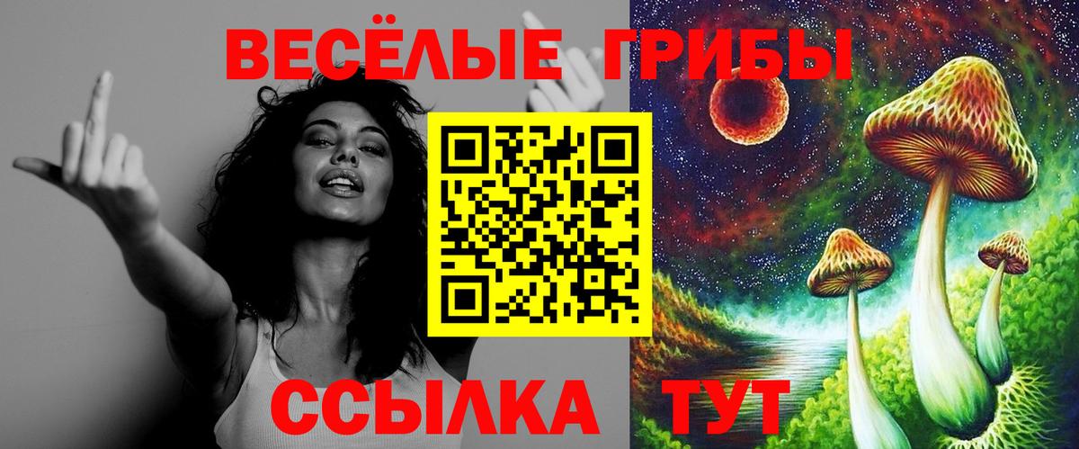 Псилоцибиновые грибы мицелий  Вход с VPN  Тавда  Псилоцибиновые грибы мицелий 