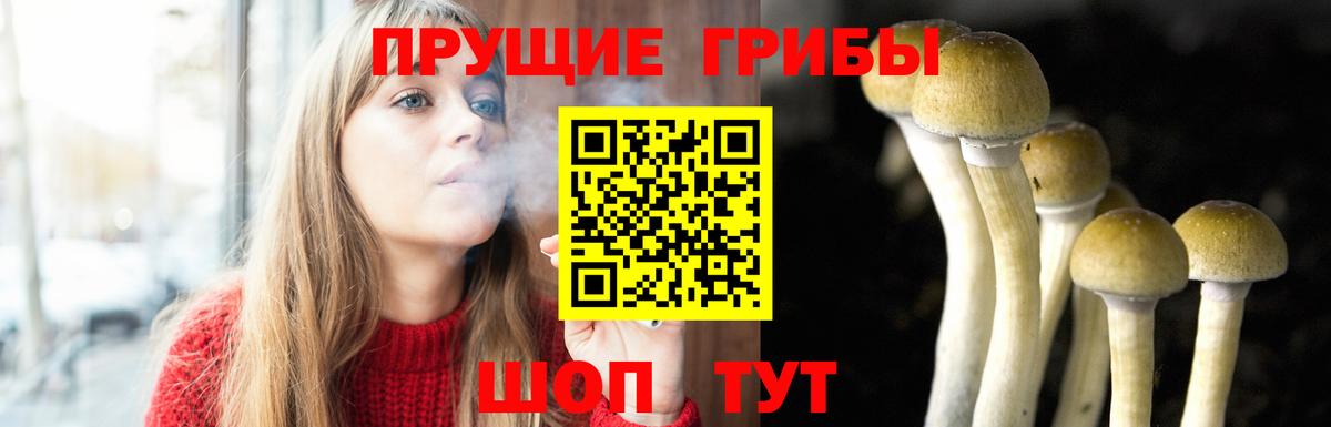 Псилоцибиновые грибы прущие грибы Тавда