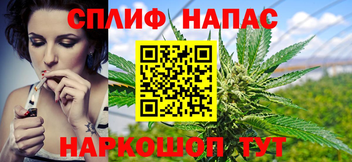 Бошки марихуана план  Вход с VPN  Тавда  Каннабис план  Шишки марихуана планчик 